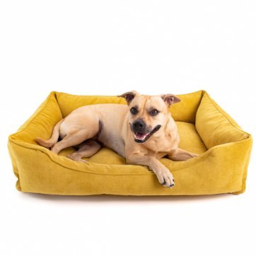 Dog bed large